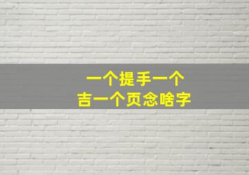 一个提手一个吉一个页念啥字