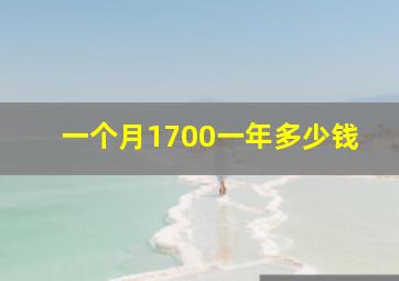 一个月1700一年多少钱