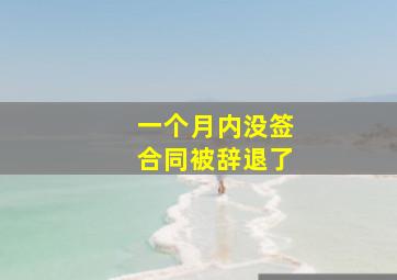 一个月内没签合同被辞退了