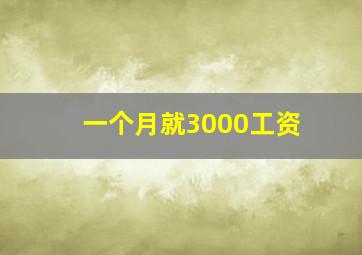 一个月就3000工资