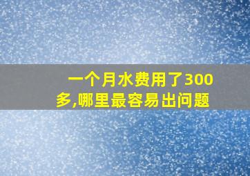 一个月水费用了300多,哪里最容易出问题