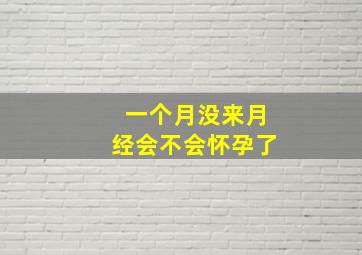 一个月没来月经会不会怀孕了