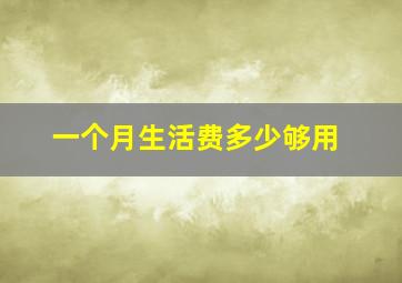 一个月生活费多少够用