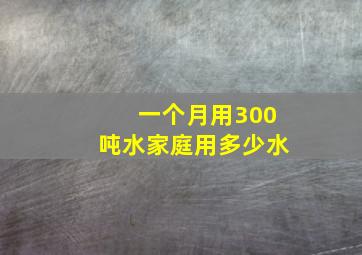 一个月用300吨水家庭用多少水