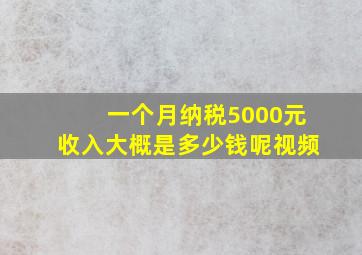 一个月纳税5000元收入大概是多少钱呢视频