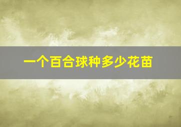 一个百合球种多少花苗