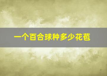 一个百合球种多少花苞