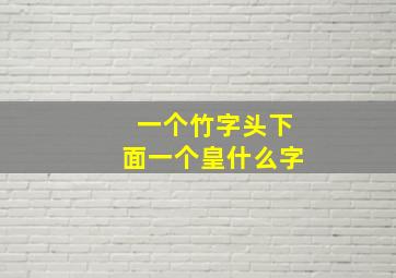 一个竹字头下面一个皇什么字