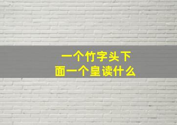 一个竹字头下面一个皇读什么