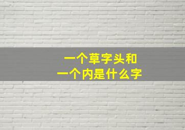 一个草字头和一个内是什么字