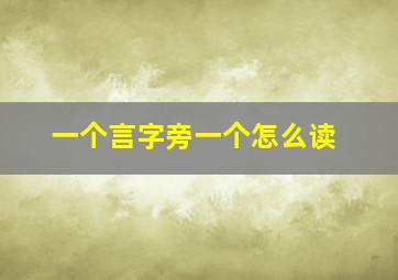 一个言字旁一个怎么读