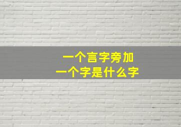 一个言字旁加一个字是什么字