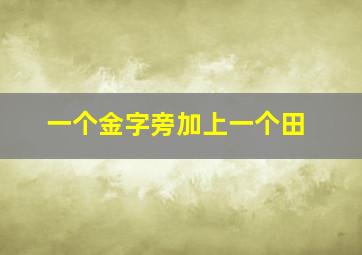 一个金字旁加上一个田