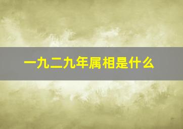 一九二九年属相是什么