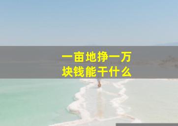 一亩地挣一万块钱能干什么