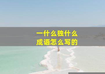 一什么独什么成语怎么写的