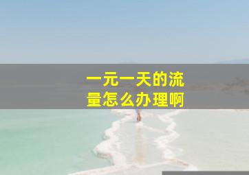 一元一天的流量怎么办理啊