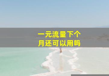 一元流量下个月还可以用吗