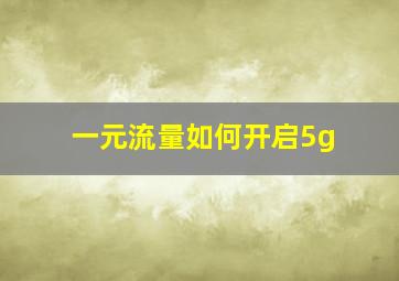 一元流量如何开启5g