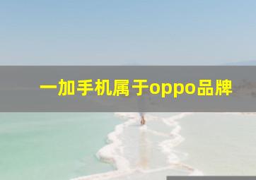 一加手机属于oppo品牌