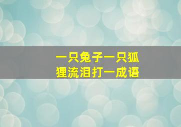 一只兔子一只狐狸流泪打一成语