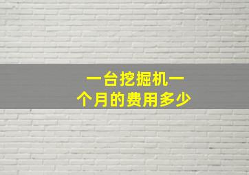 一台挖掘机一个月的费用多少