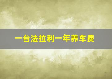 一台法拉利一年养车费