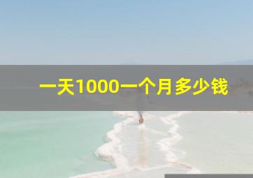 一天1000一个月多少钱