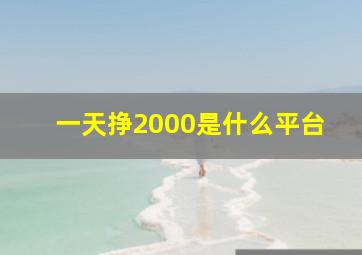 一天挣2000是什么平台