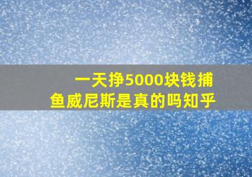 一天挣5000块钱捕鱼威尼斯是真的吗知乎