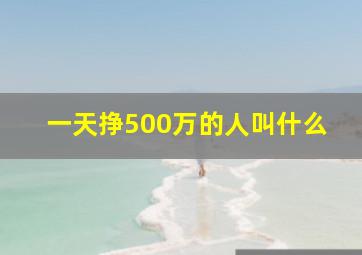 一天挣500万的人叫什么