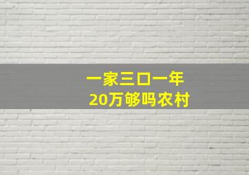 一家三口一年20万够吗农村