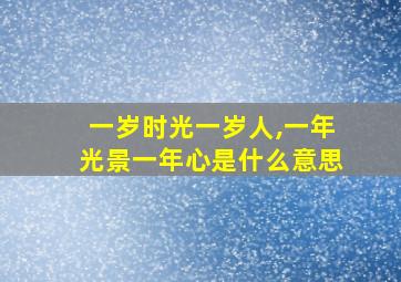 一岁时光一岁人,一年光景一年心是什么意思