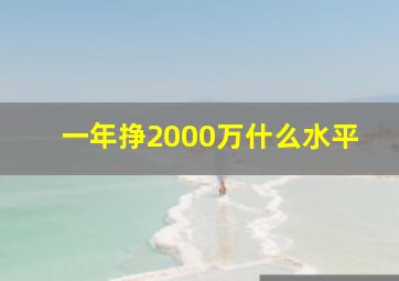 一年挣2000万什么水平