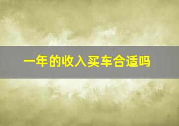 一年的收入买车合适吗