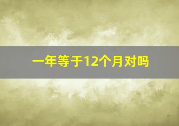 一年等于12个月对吗