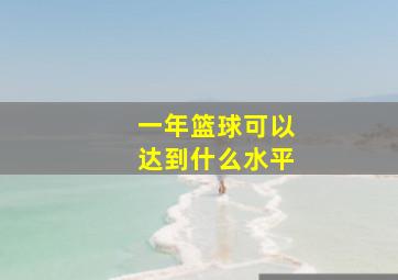 一年篮球可以达到什么水平