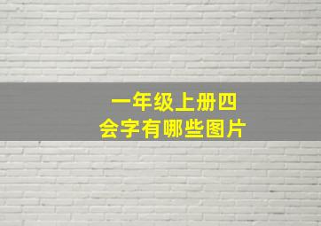 一年级上册四会字有哪些图片