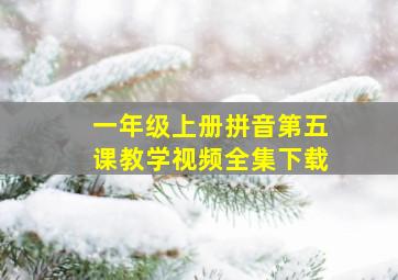 一年级上册拼音第五课教学视频全集下载