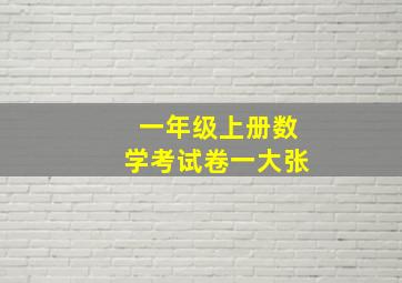 一年级上册数学考试卷一大张