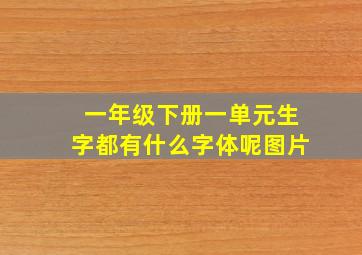 一年级下册一单元生字都有什么字体呢图片