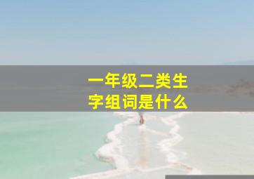 一年级二类生字组词是什么