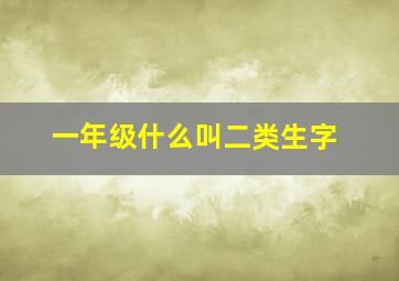 一年级什么叫二类生字