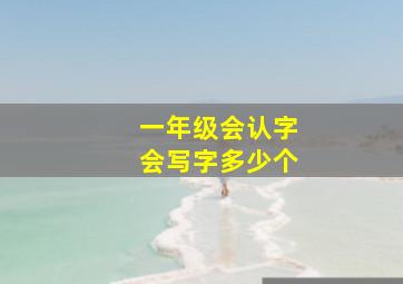 一年级会认字会写字多少个