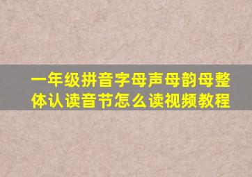 一年级拼音字母声母韵母整体认读音节怎么读视频教程