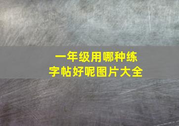 一年级用哪种练字帖好呢图片大全