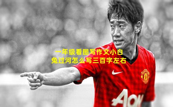 一年级看图写作文小白兔过河怎么写三百字左右