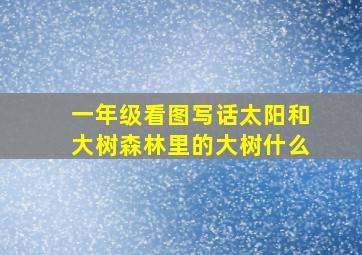 一年级看图写话太阳和大树森林里的大树什么