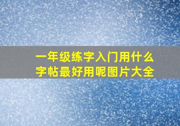 一年级练字入门用什么字帖最好用呢图片大全