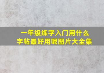 一年级练字入门用什么字帖最好用呢图片大全集